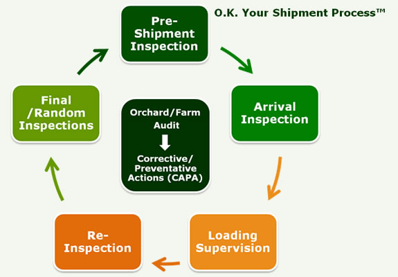 GloboFruit OKYS Process